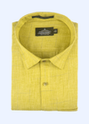 Pure Cotton Two Tone Elaichi Colour Shirt