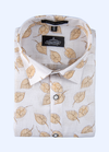 Linen Print White Bess With Gold Touch Paan Flower Print